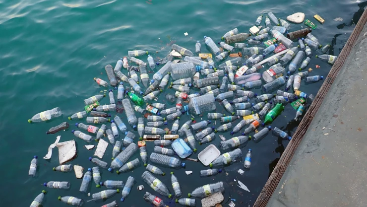 Bacterias, microplásticos