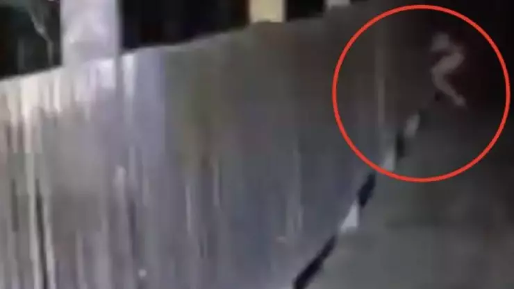 ¡PARANORMAL! Captan supuesto Nahual en la selva de Catemaco, Veracruz; el VIDEO aterra a las redes