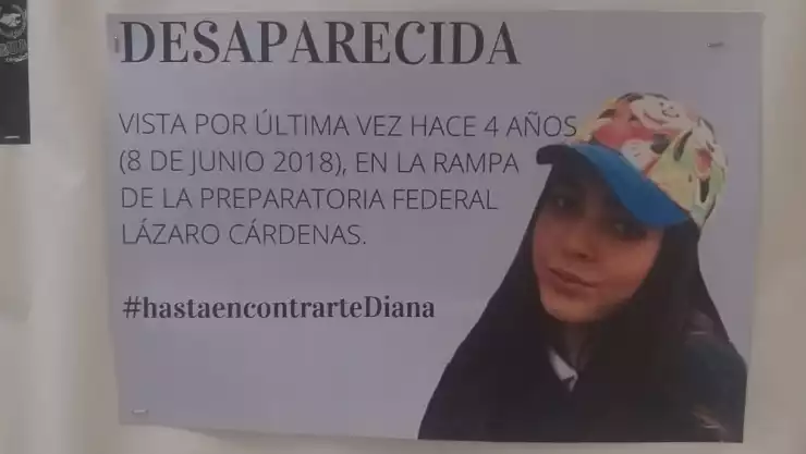 Diana Piggeonountt desapareció el 8 de junio del 2018 en Tijuana