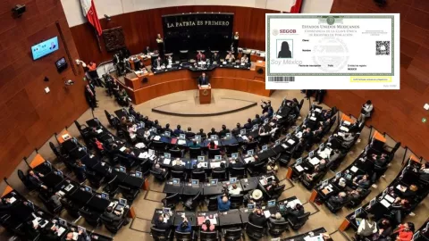 ¿CURP con foto Senado aprueba avances en Ley de Población