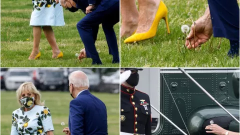 joe biden diente leon jill