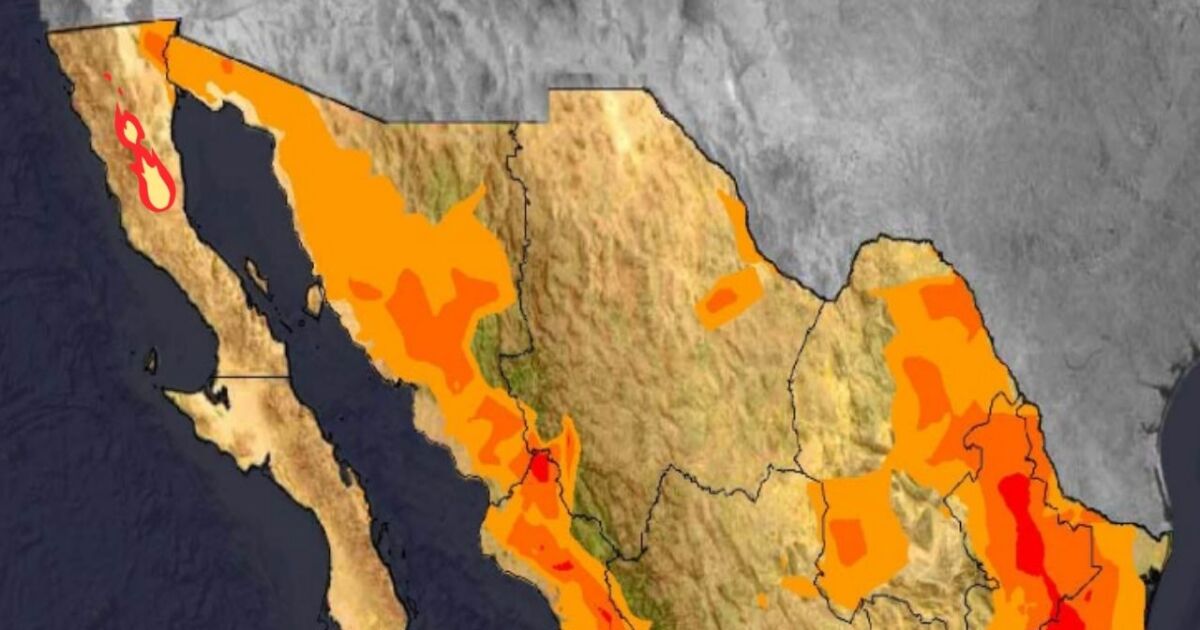 ☀️¿Cuándo inicia la canícula en Baja California y Estados Unidos 2025