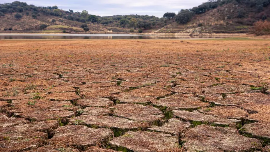 Sequía que azota al estado de Chihuahua