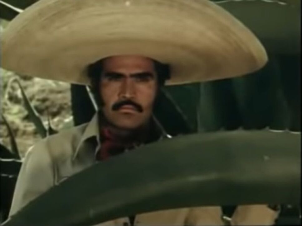 vicente fernandez