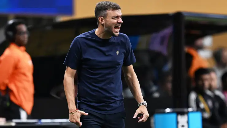Anselmi Botafogo