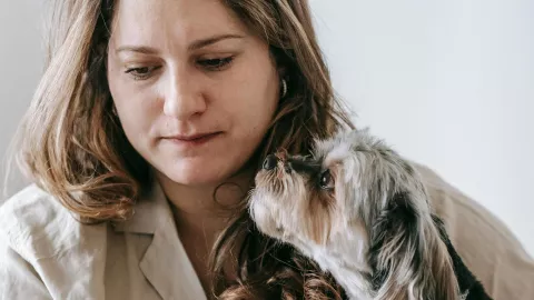 ¿Qué tanto afecta el estrés humano en los perros? Esto revela la ciencia