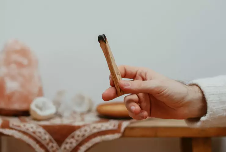 El significado del palo santo y en qué momentos usarlo