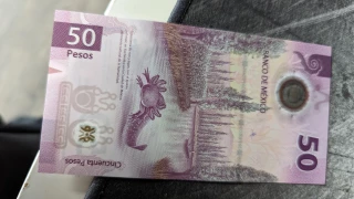 Billete de 50 pesos del ajolote.png