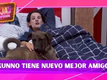 La Granja VIP