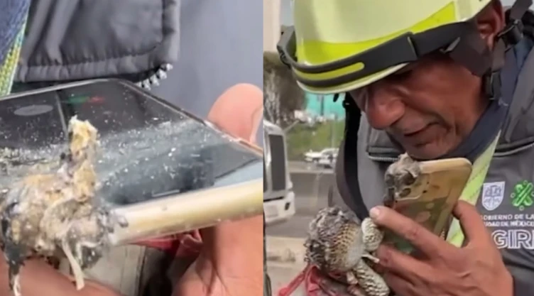 Localizan a familia de una estudiante víctima de la explosión en Iztapalapa gracias a su celular en la zona cero. El dispositivo seguía funcionando pese al fuego.