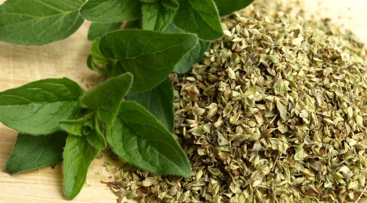 La planta que favorece la producción de colágeno y combate la artrosis