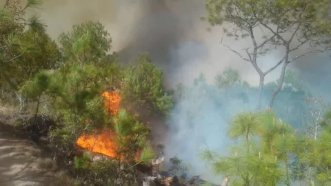 Incendios forestales activan alerta atmosférica en Tlajomulco y Tecolotlán; hay clases hoy en Jalisco