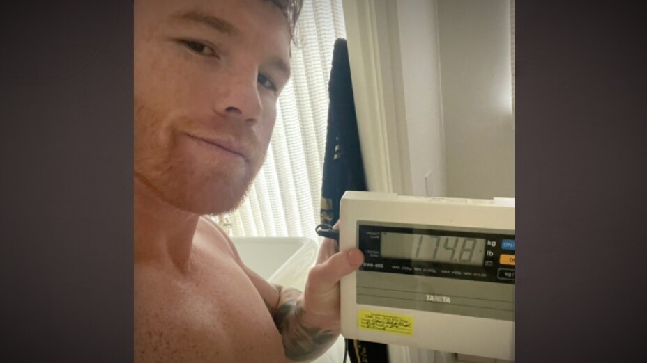 canelo peso pelea plant