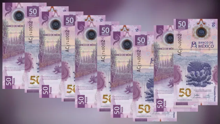 Colección de billete de 50 pesos del ajolote