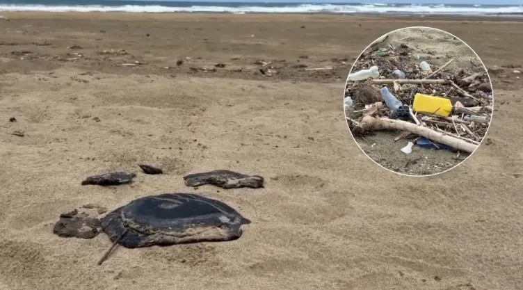 Desastre ambiental en playas de Veracruz y Tabasco: Derrame de hidrocarburo y basura asfixian las costas