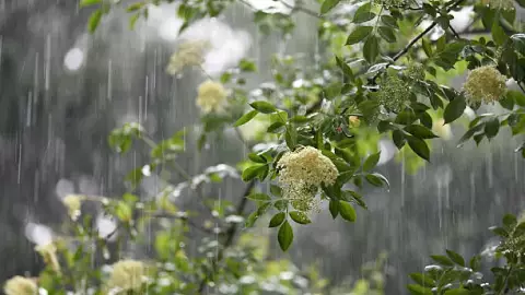 Clima en Morelos hoy