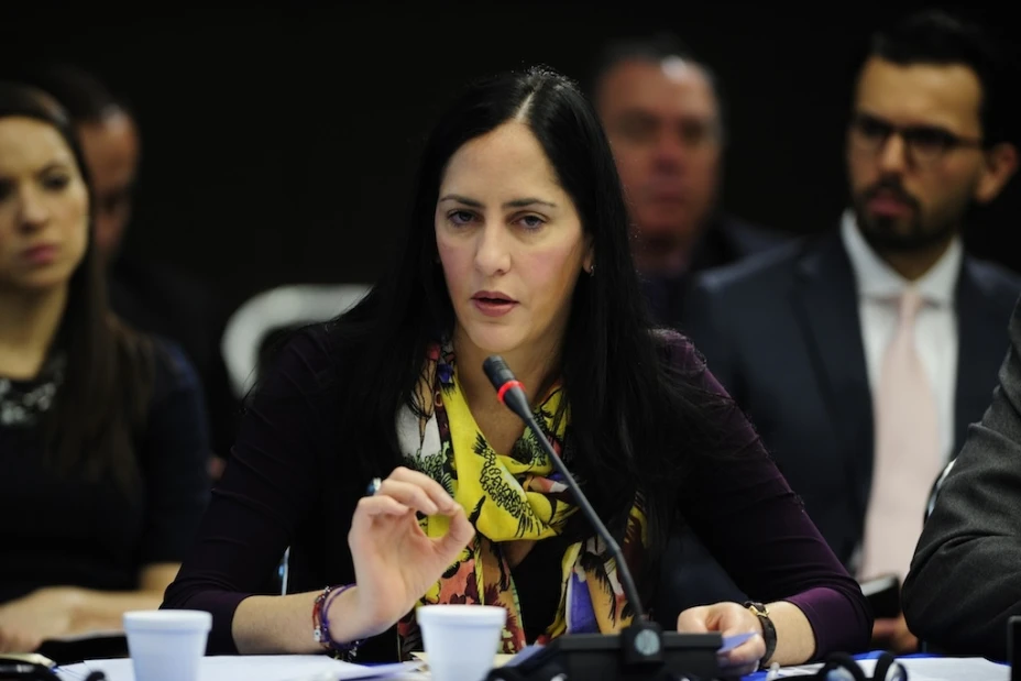 Lía Limón deja la Segob y va por un curul