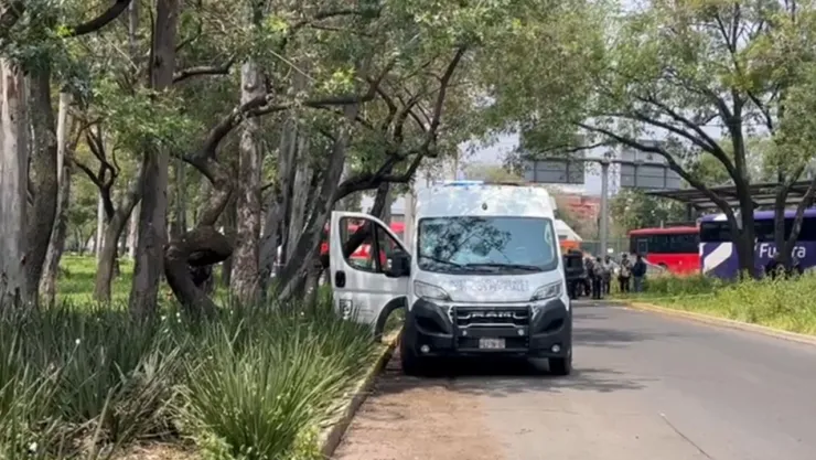 Hallan cuerpo colgado de un árbol en Insurgentes Norte