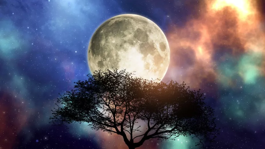 Qué pasa si la Luna desaparece