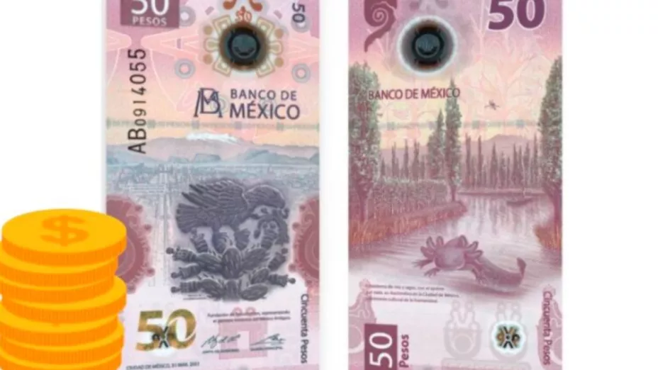 Ofrecen hasta 300 mil por billete de 50 pesos del ajolote