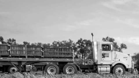 ¡Un verdadero peligro! Apodaca, con avenida kilométrica llena de baches
