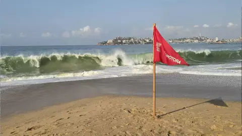 Mar de fondo Guerrero.jpg