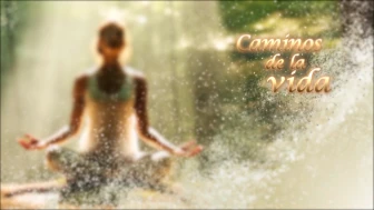 caminos de la vida