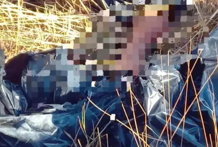 cuerpos en bolsas Puebla y Santa Clara Ocoyucan