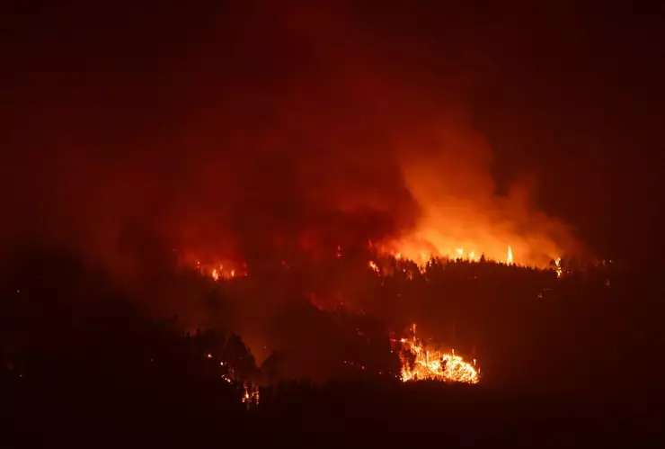 Incendios forestales en Los Ángeles California