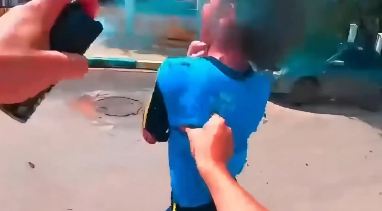 Repartidor salva a niña de un ataque de abejas