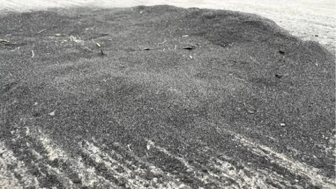 clases en línea puebla ceniza