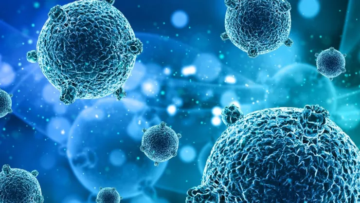 Hong Kong virus B 2024