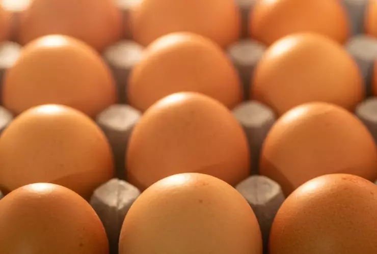 Este será el precio del kilo de huevo en México durante la cuarta semana de septiembre de 2023.