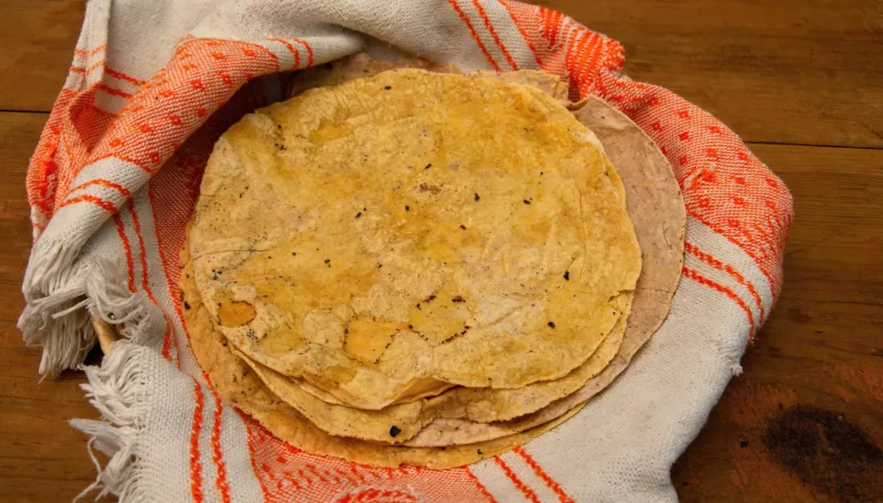 Como saber si la tortilla esta caducada