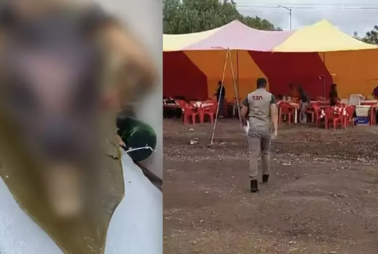 carne de perro puesto barbacoa tizayuca hidalgo