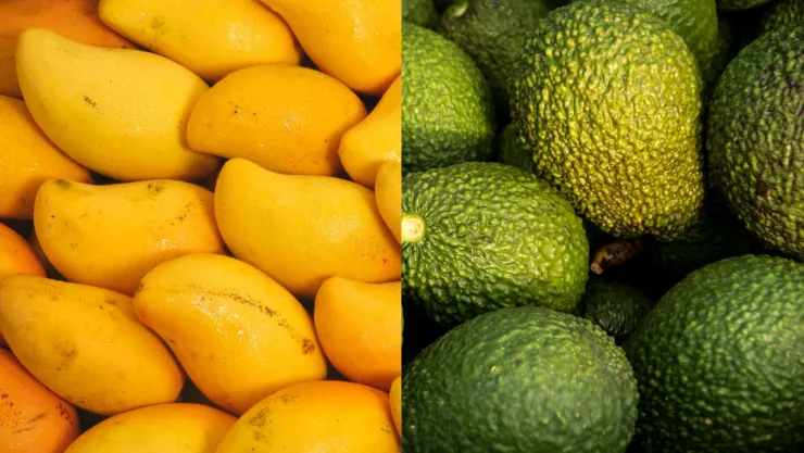 Inspectores regresan a empacadoras de mangos y aguacates en Michoacán