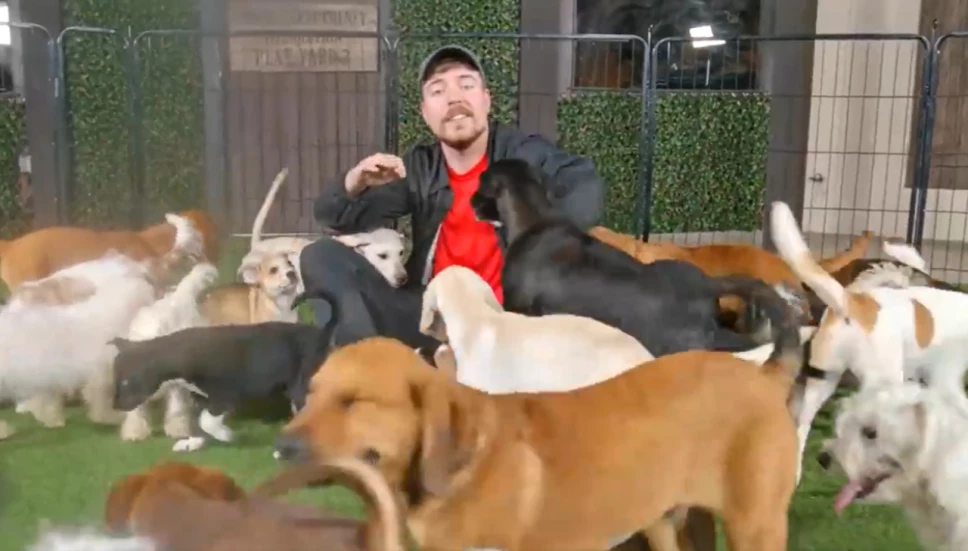MrBeast rescata a 100 perros y el tierno video se vuelve viral