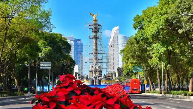 Navidad CDMX 2024.jpg