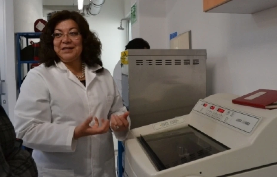 Trastornos del sueño