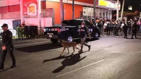 perros rescatistas marina