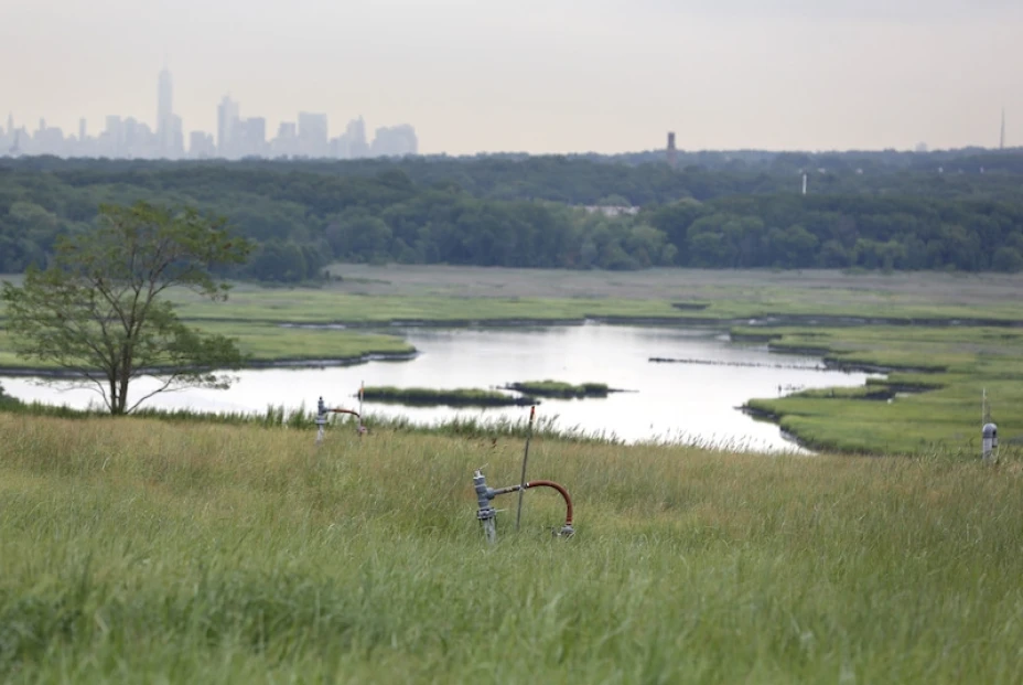 PARQUE FRESH KILLS