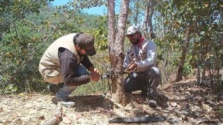 Sierra de Chilpancingo