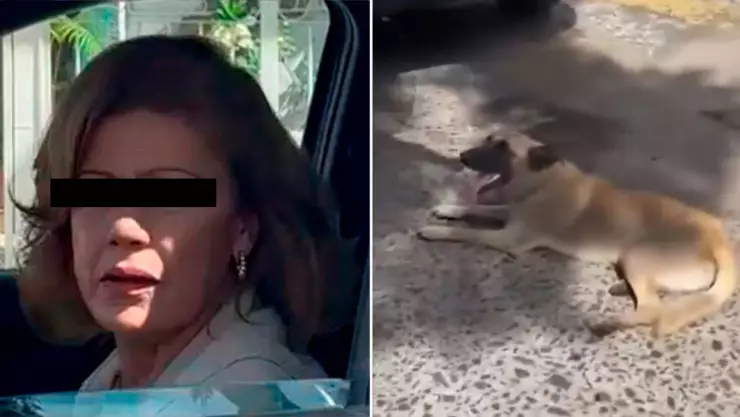 ¡A la cárcel! Señora que arrastró a perro con su camioneta en Jalisco.jpg