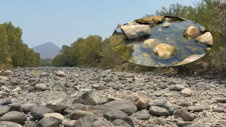 El Río Pijijiapan se ha secado en algunos tramos.