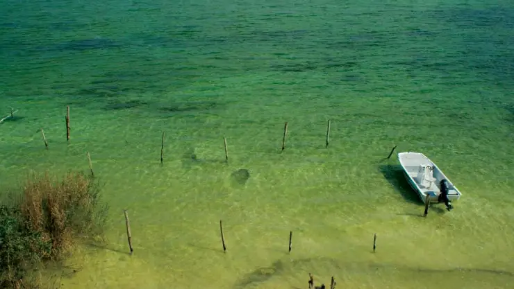 BIOSFERA SIAN KAAN en Quintana Roo