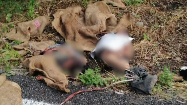 Localizan 5 cuerpos abandonados en la carretera de Villa Corzo, Chiapas