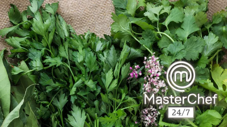 MasterChef cilantro perejil.jpg