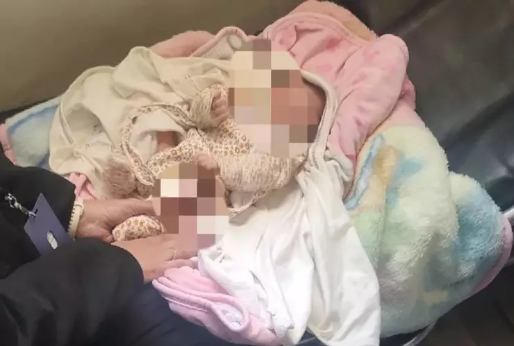 BEBE CHIHUAHUA ABANDONADA.jpg