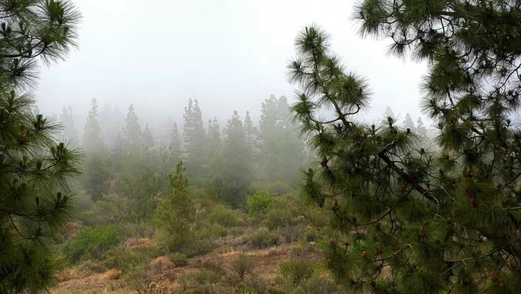 Frente Frío 4 ¿Cuál será la temperatura en Aguascalientes durante la primera semana de octubre