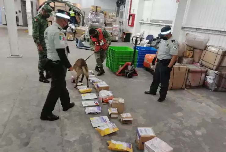 B00B0A 327 MILLONES DE PESOS EN DROGAS.jpeg